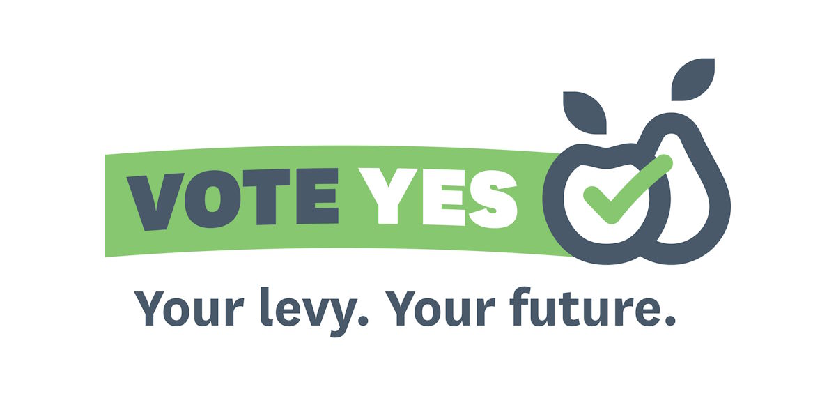 vote yes banner